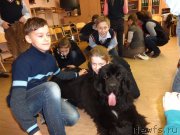 Превью фото № 147066