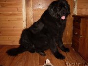 Превью фото № 147094