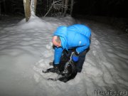 Превью фото № 147132