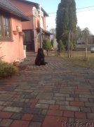 Превью фото № 147165