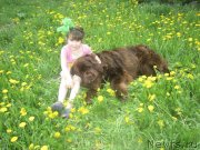 Превью фото № 147167