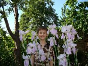 Превью фото № 147236