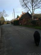 Превью фото № 147240