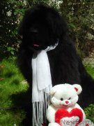 Превью фото № 147276