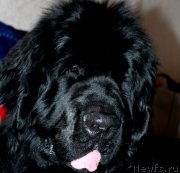 Превью фото № 147292