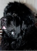 Превью фото № 147294