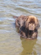 Превью фото № 147328