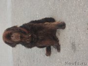 Превью фото № 147337