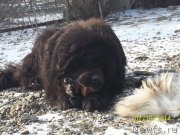 Превью фото № 147339