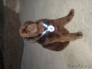 Превью фото № 147347