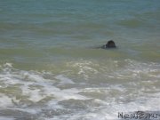 Превью фото № 147355