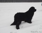 Превью фото № 147391