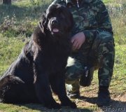 Превью фото № 147394