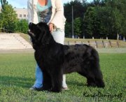 Превью фото № 147398