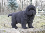 Превью фото № 147415