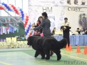 Превью фото № 147466