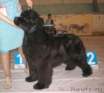 Превью фото № 14748