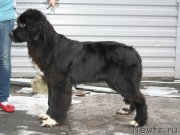 Превью фото № 147489