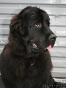 Превью фото № 147502