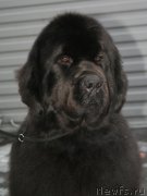 Превью фото № 147518