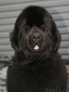 Превью фото № 147519