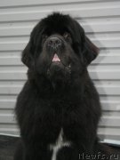 Превью фото № 147524