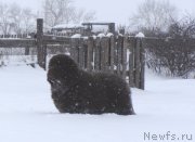 Превью фото № 147577