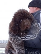 Превью фото № 147578