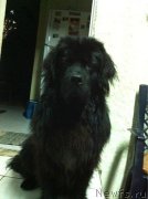 Превью фото № 147660