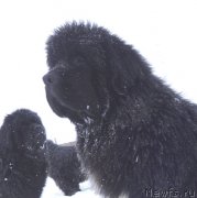 Превью фото № 147677