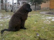 Превью фото № 147678