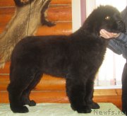 Превью фото № 147681