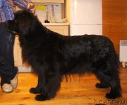 Превью фото № 147692