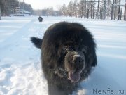 Превью фото № 147814