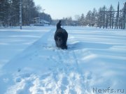 Превью фото № 147815