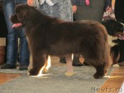 Превью фото № 147964