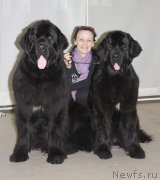 Превью фото № 147992