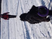 Превью фото № 148015