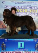 Превью фото № 148019