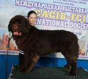 Превью фото № 148020