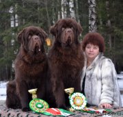 Превью фото № 148024