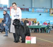 Превью фото № 148029