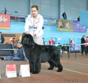 Превью фото № 148033