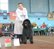 Превью фото № 148036