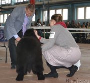 Превью фото № 148037