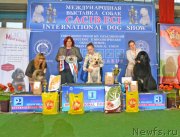 Превью фото № 148055