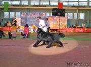 Превью фото № 148057