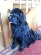 Превью фото № 148078