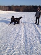 Превью фото № 148111