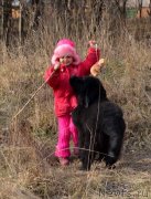 Превью фото № 148130